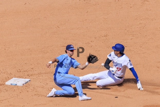 Slideshow Image 2
